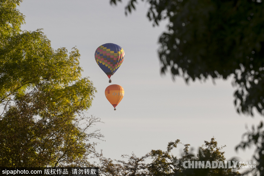 爱尔兰举行热气球锦标赛 色彩点缀天空场景浪漫