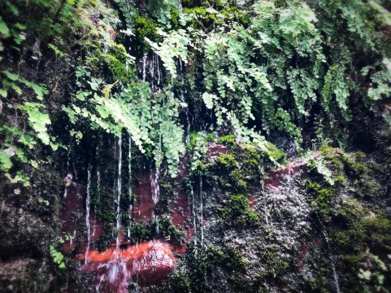 山水画卷——“豫”见云台山