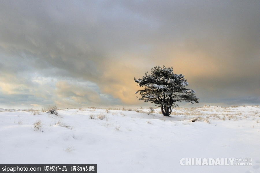 降温雪韵至 盘点最平凡的冬日美景