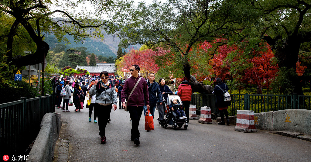 北京香山景区观红叶正好 游客络绎不绝