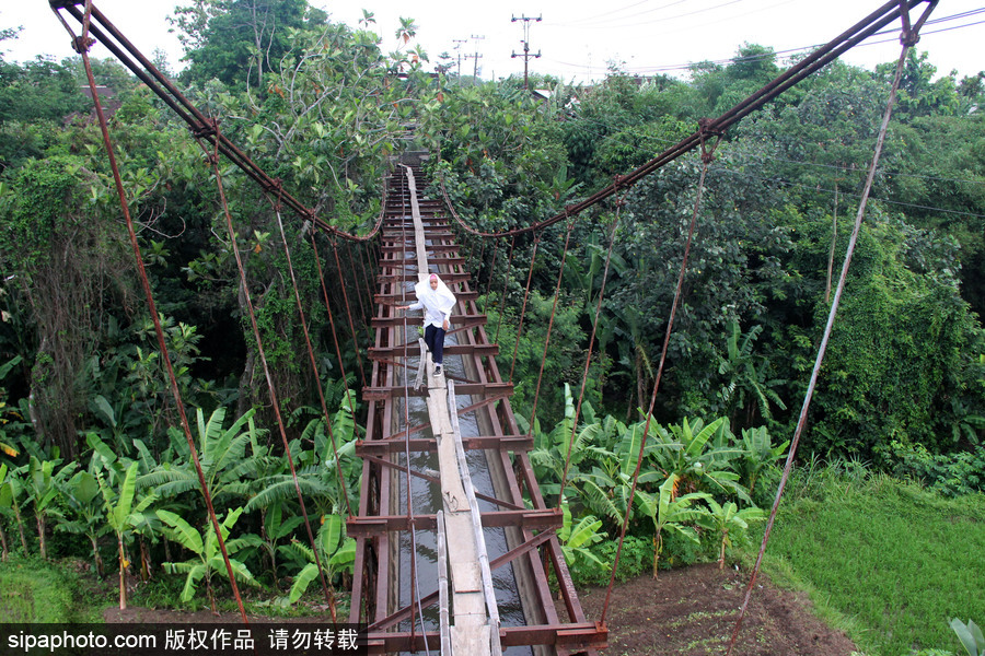 印尼学生惊险上学路 超窄木板吊桥穿丛林