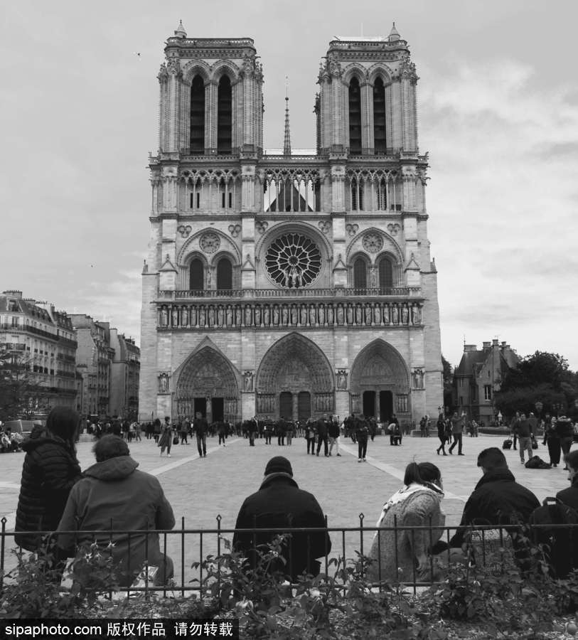 不同视角下的巴黎圣母院 每一面都很美