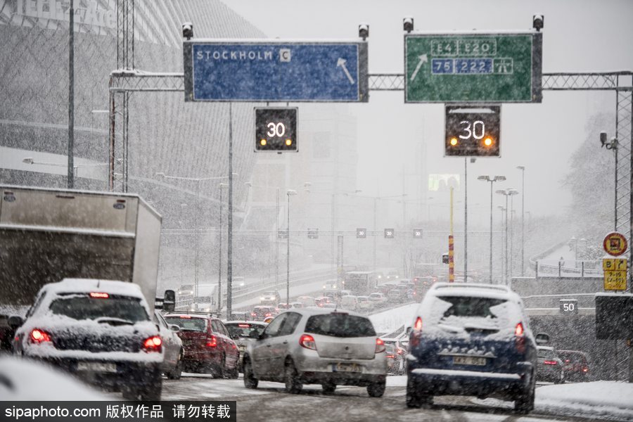瑞典迎来今年第一场降雪 严重影响当地交通