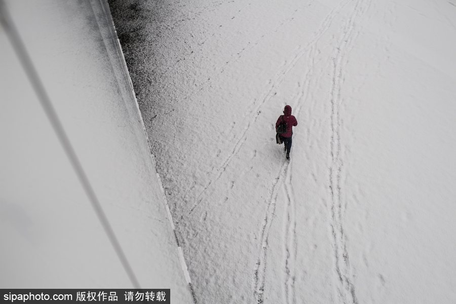 瑞典迎来今年第一场降雪 严重影响当地交通