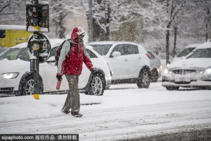 瑞典迎来今年第一场降雪 严重影响当地交通