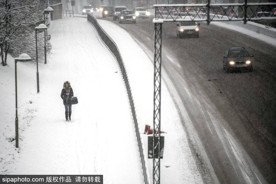 瑞典迎来今年第一场降雪 严重影响当地交通