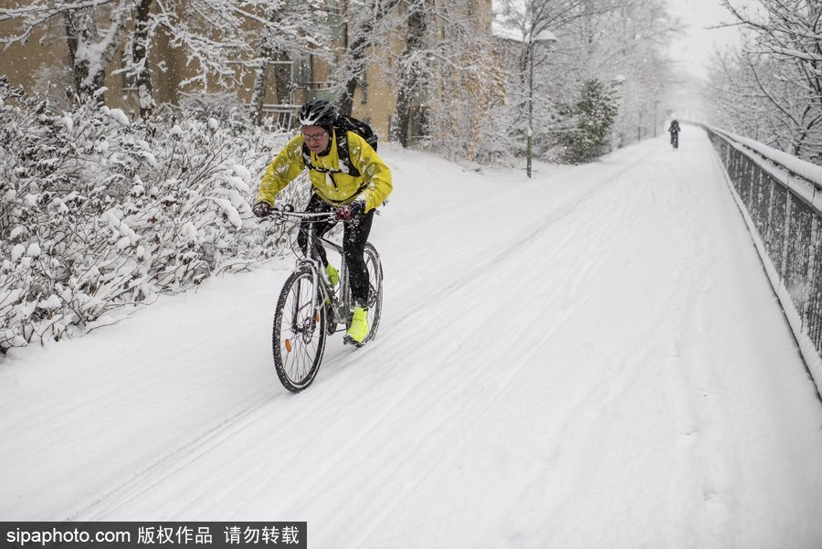 瑞典迎来今年第一场降雪 严重影响当地交通