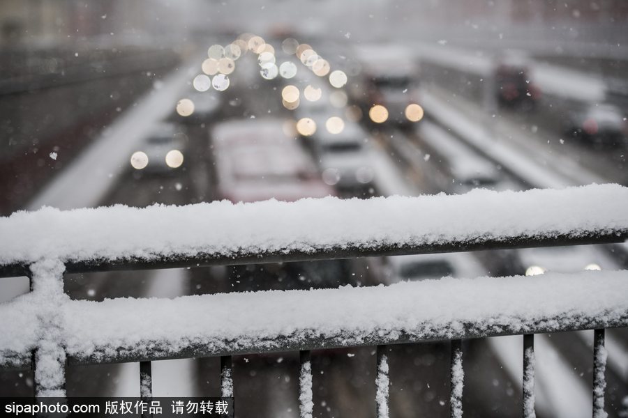 瑞典迎来今年第一场降雪 严重影响当地交通