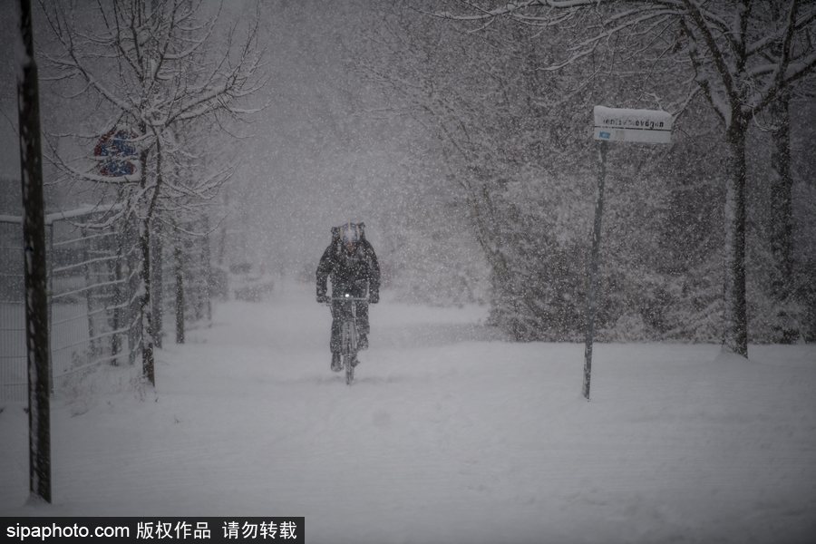 瑞典迎来今年第一场降雪 严重影响当地交通