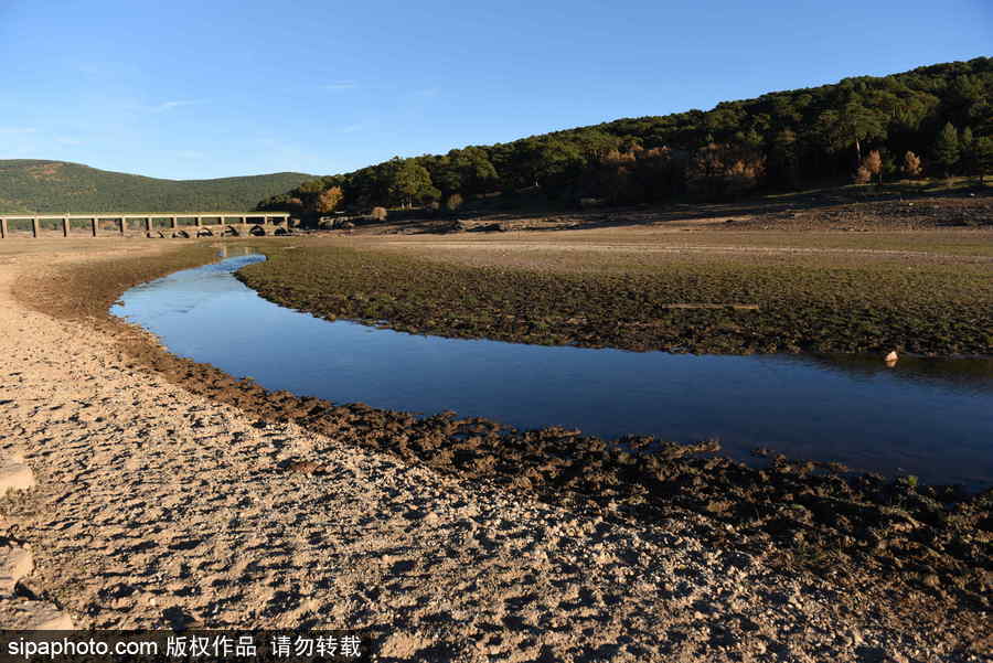 西班牙持续干旱 河流几近干涸断流