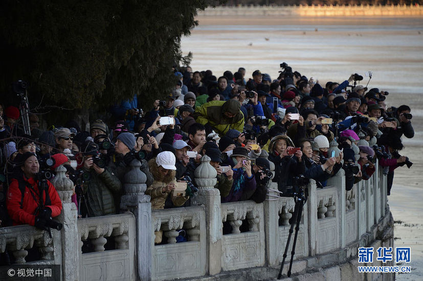 北京：近千名摄影爱好者齐聚颐和园 拍摄“金光穿孔”迷人景象