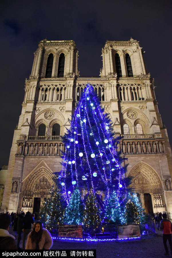 巴黎圣母院前圣诞树亮灯 迎接圣诞节到来