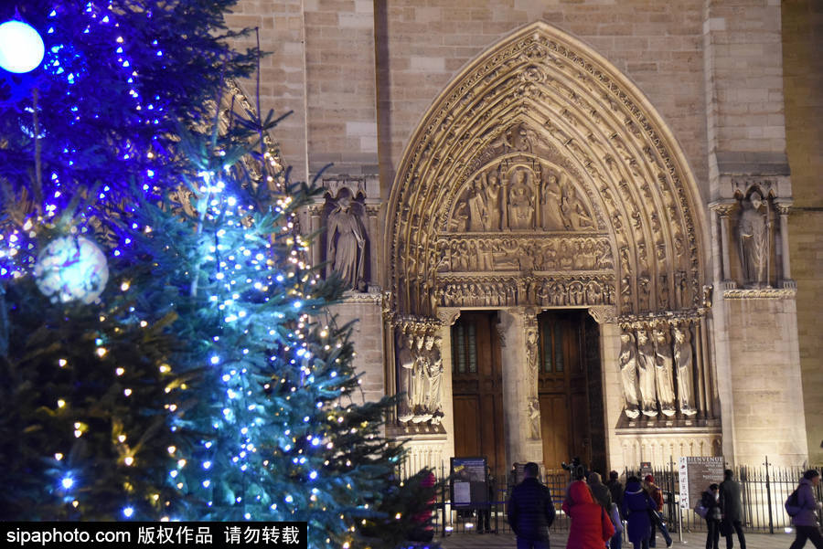 巴黎圣母院前圣诞树亮灯 迎接圣诞节到来