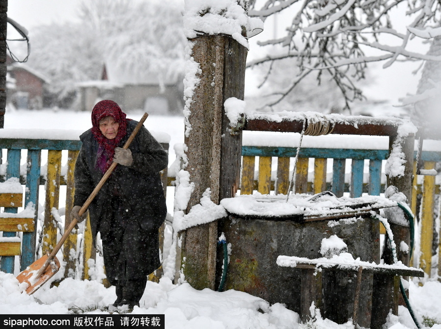 生活在冰雪童话之中 白俄罗斯乡村冬雪覆盖