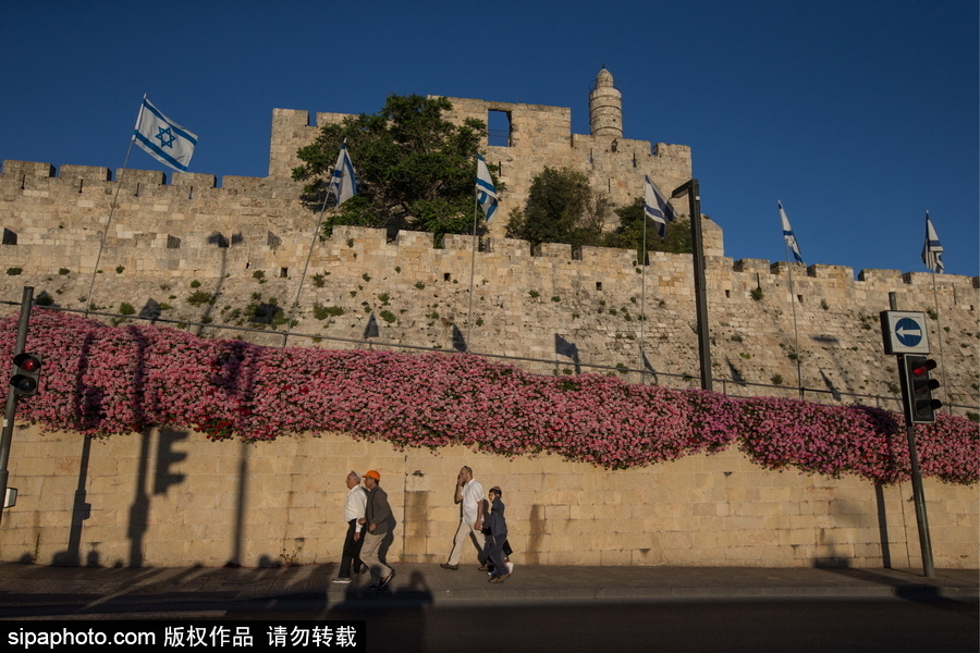 特朗普承认耶路撒冷为以色列首都 盘点“三教圣城”美景