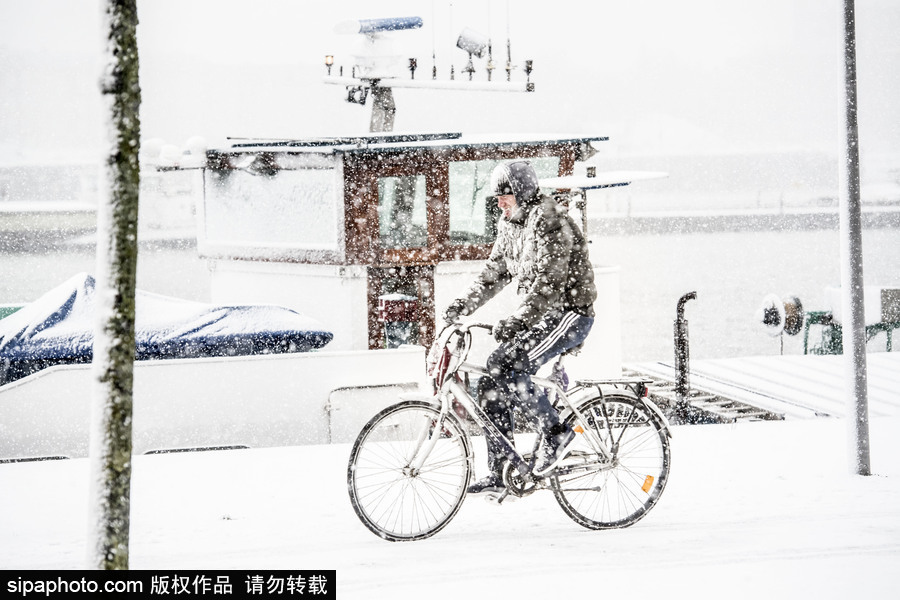 荷兰鹿特丹降大雪 民众骑车出行成雪人