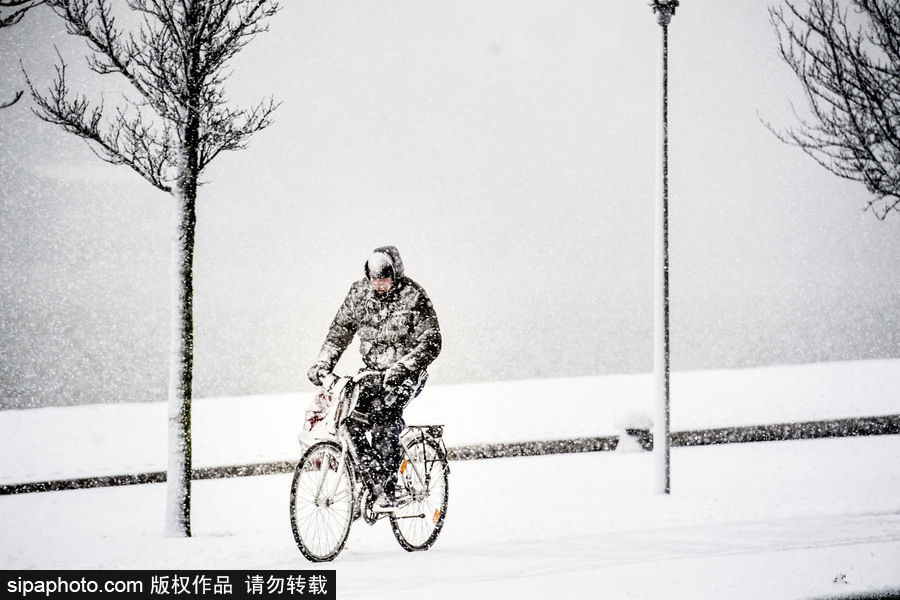 荷兰鹿特丹降大雪 民众骑车出行成雪人
