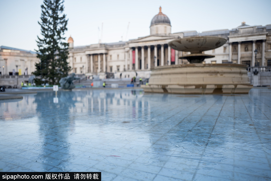 英国伦敦降温 特拉法加广场喷泉被冻成冰块