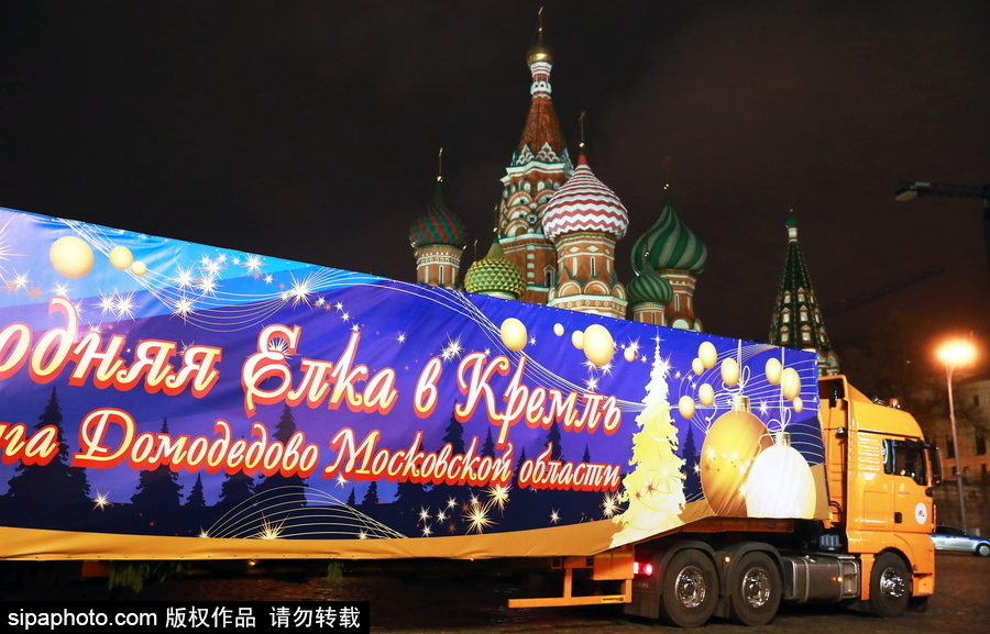 迎接圣诞节！ 巨型圣诞树搭乘卡车运抵克里姆林宫