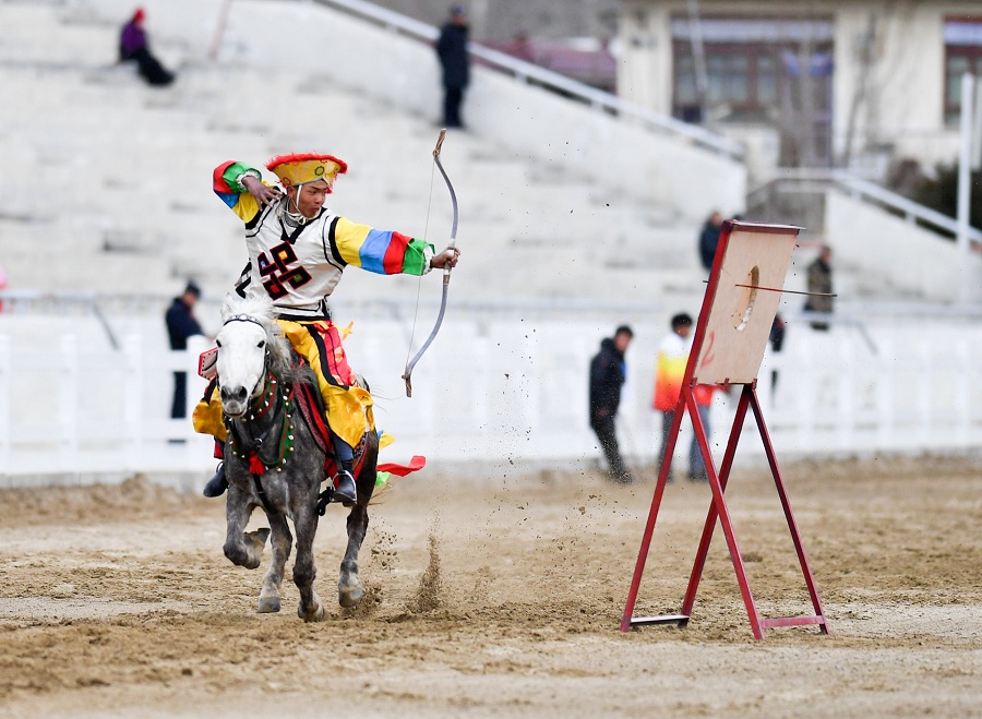 民族体育——传统马术表演庆藏历新年