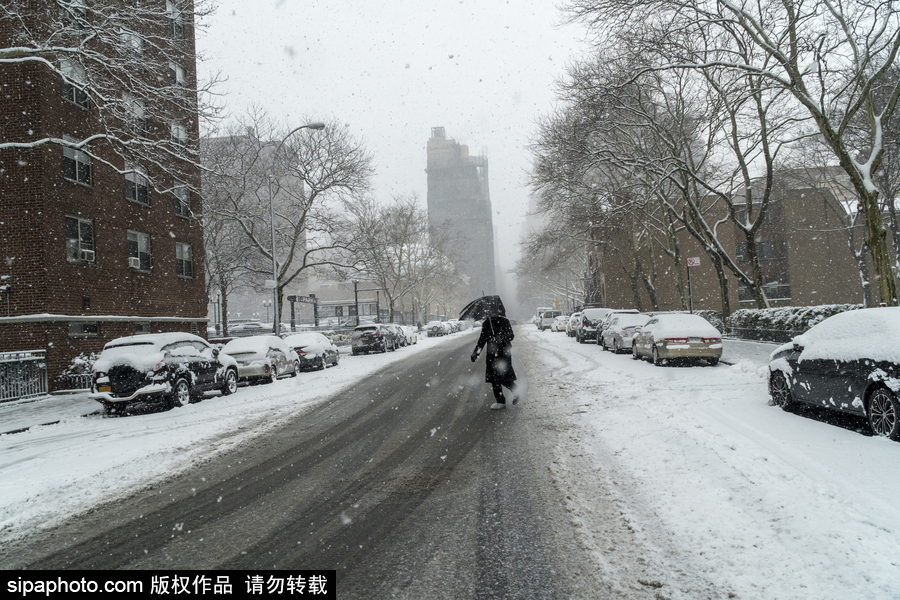 这波倒春寒来的迅猛！美国纽约遭遇暴雪天气