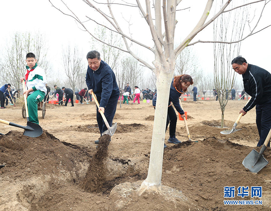 跟总书记一起“做种树者”