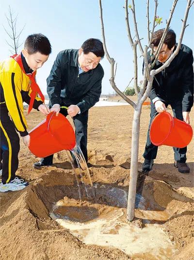 这件天下大事，看习近平是如何从“种一棵树”做起的