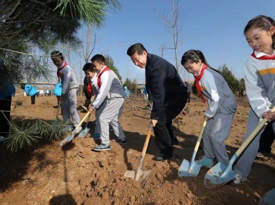 这件天下大事，看习近平是如何从“种一棵树”做起的