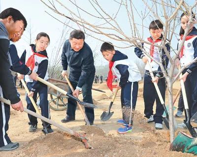 这件天下大事，看习近平是如何从“种一棵树”做起的