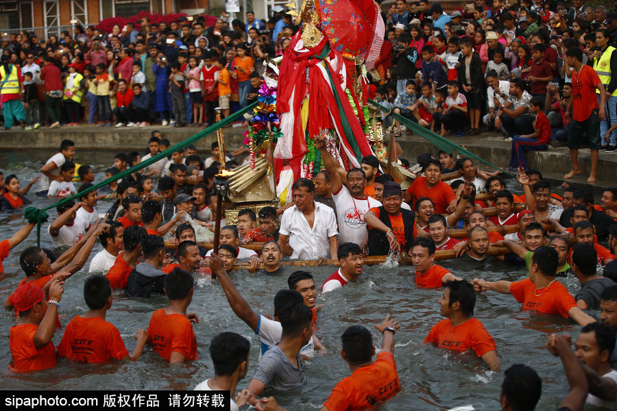 尼泊尔信徒水中嬉戏庆祝节日 寻找女神丢失的饰品