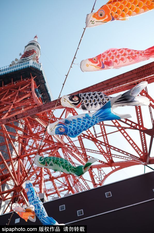 日本东京塔下悬挂鲤鱼旗 庆祝儿童节