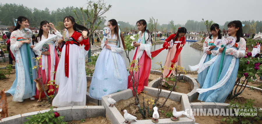 洪泽湖牡丹文化艺术节开幕