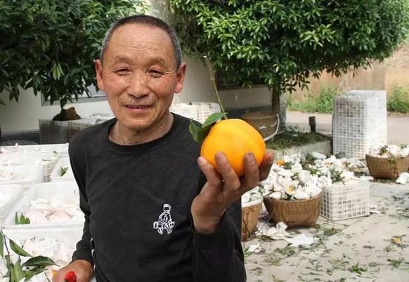 走进天府之国 尽享“巴适”四川——记外国驻港领团商会媒体代表参访四川