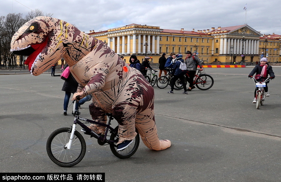 俄罗斯骑自行车的季节到了！花式骑车出行超逗趣