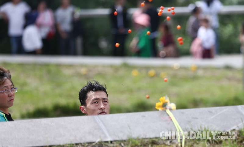 “5·12”汶川地震遇难者家属到公墓祭奠亲人