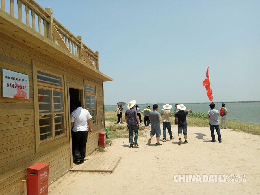 【美丽中国长江行】共舞长江经济带•生态篇--湖南站媒体团走访湖南东洞庭湖国家级自然保护区林阁老巡护监测点