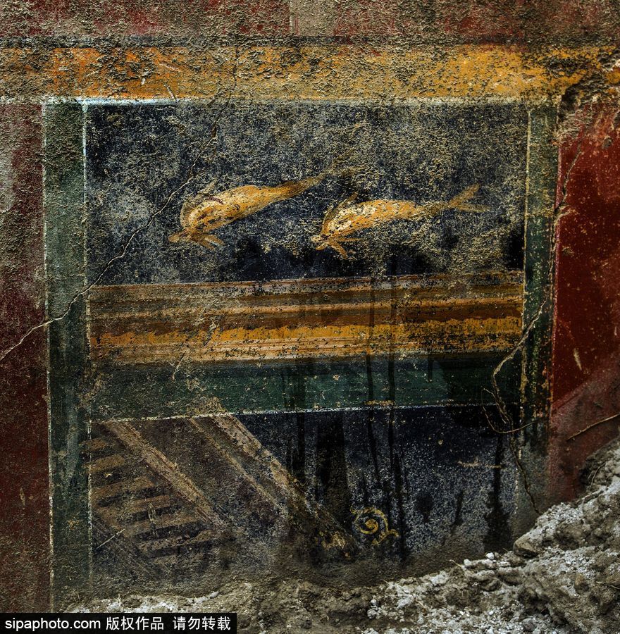 意大利考古队发现庞贝古城建筑群“海豚之屋” 罕见保持完好