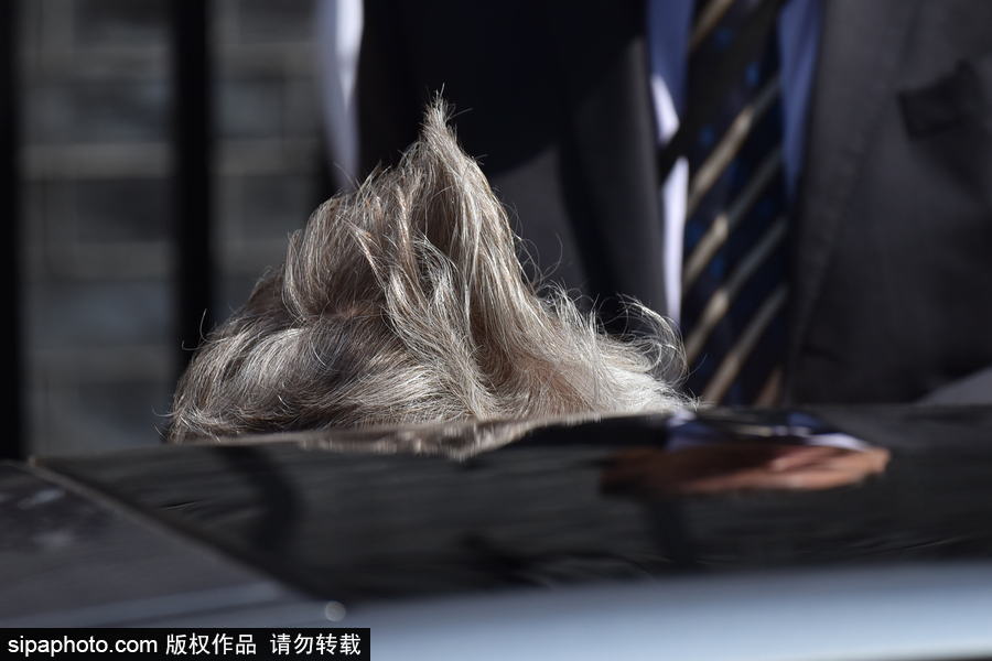 英国首相特丽莎·梅现身唐宁街 头发在风中凌乱秒变“鸡冠”