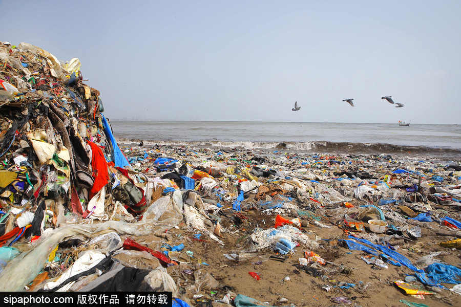 印度海滩成垃圾场 环保志愿者数年如一日坚持清理