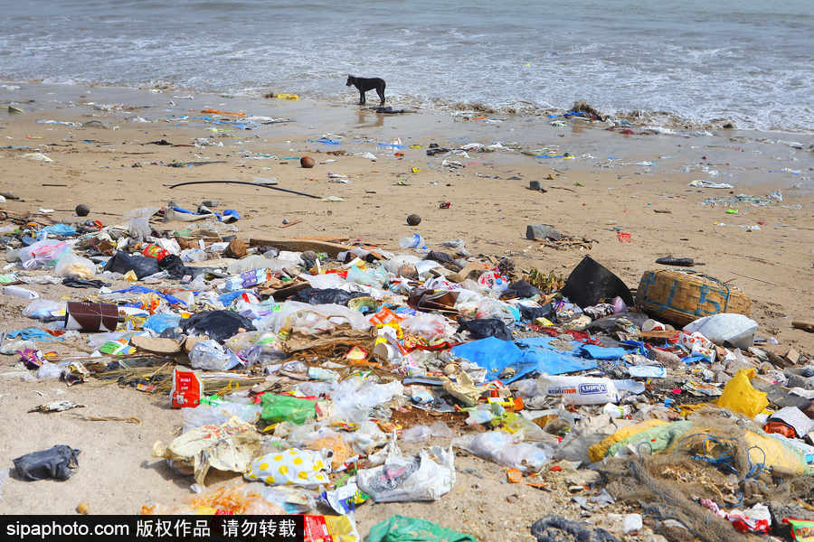 印度海滩成垃圾场 环保志愿者数年如一日坚持清理