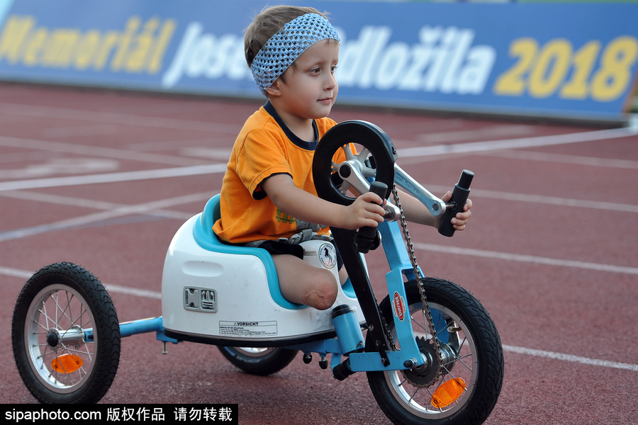 延续生命之火！捷克布拉格举行残疾儿童小轮车赛跑活动