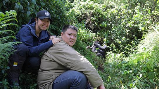 中国夫妇在卢旺达点亮三千“猩灯” 呼吁世界保护山地大猩猩