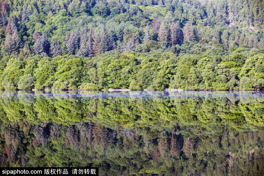 大自然的镜子 英国巴特米尔湖倒影似平行世界