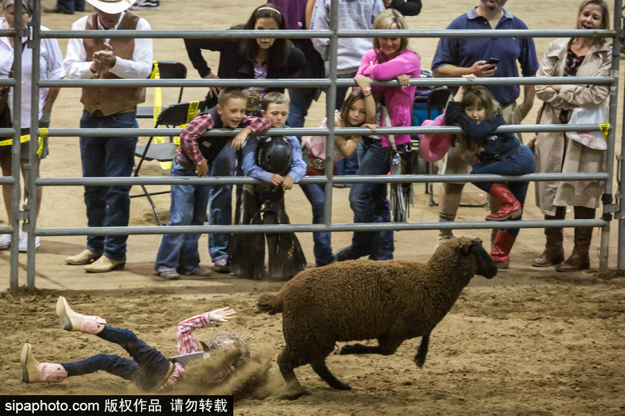 美国里诺举行儿童骑羊大赛 萌娃上场有模有样