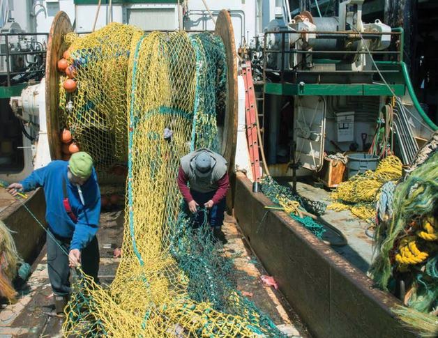阿拉斯加海产品面临中国反制关税冲击