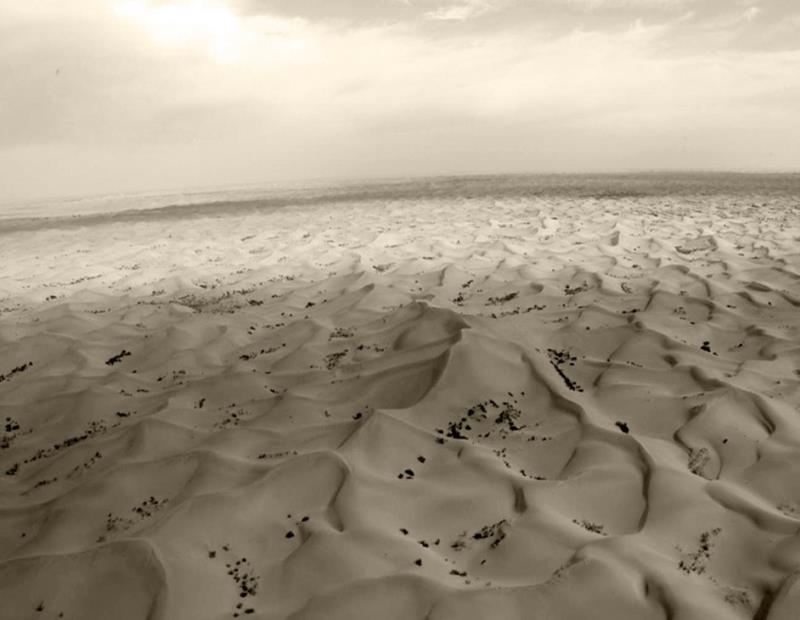 绿洲的世界奇迹：库布其治沙创造5千亿生态财富