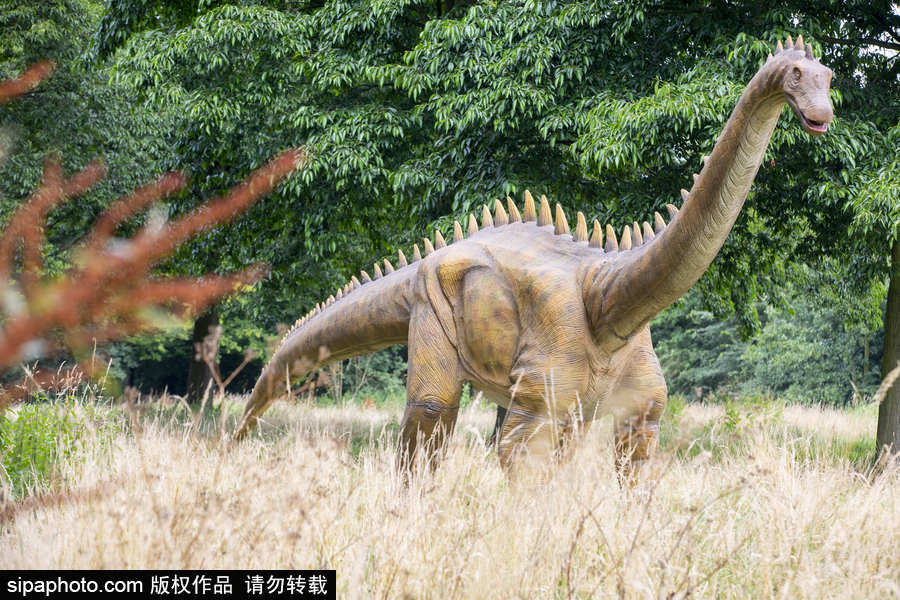 “侏罗纪王国”展览首次亮相荷兰 形象逼真似穿越回恐龙时代
