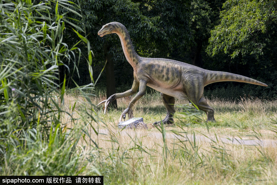 “侏罗纪王国”展览首次亮相荷兰 形象逼真似穿越回恐龙时代