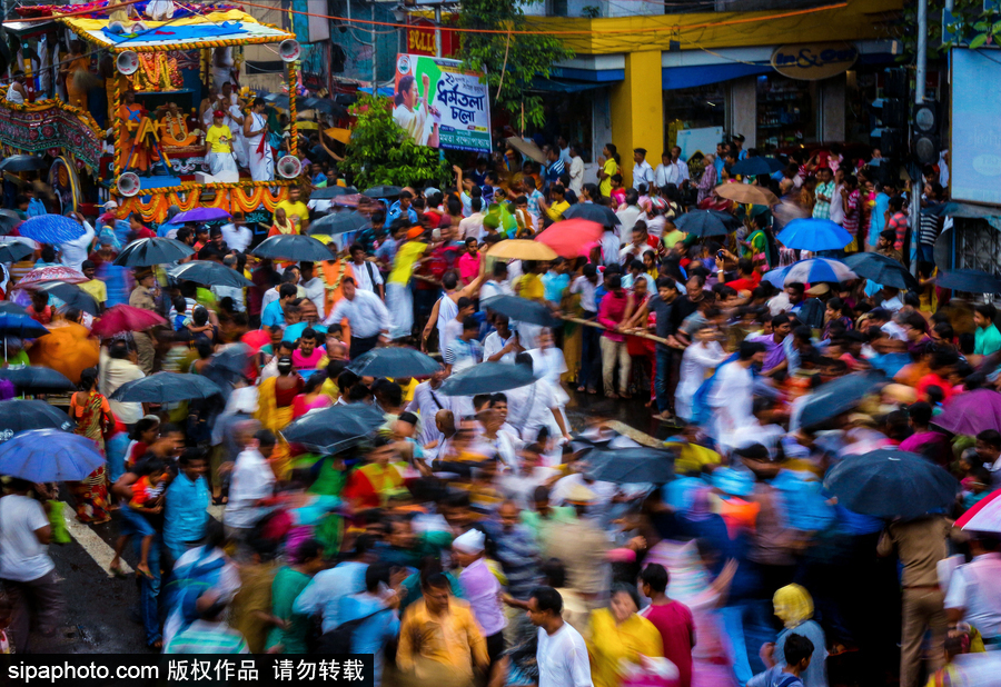 造型夸张形态各异！印度人民走上街头庆祝扎格纳特乘车节