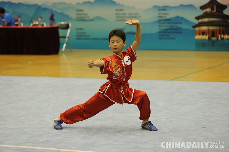 第三届中国太极好少年大赛成功举行